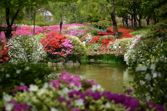 한국표준과학연구원은 오는 29일부터 다음달 1일까지 연구원 개방 행사를 개최한다. 봄꽃이 만개한 대전 유성구 표준과학연구원 연못가의 모습.  표준연 제공